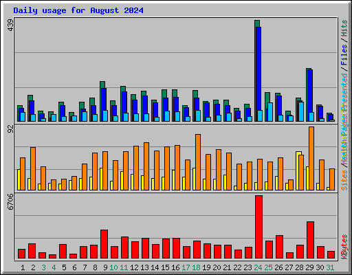 Daily usage for August 2024