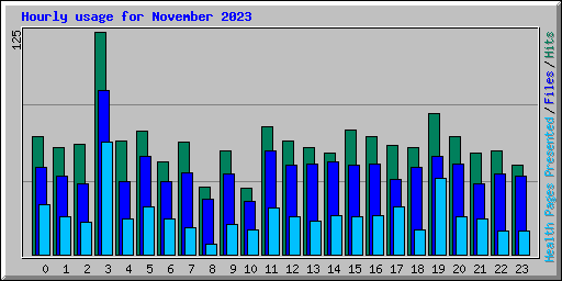 Hourly usage for November 2023