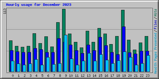 Hourly usage for December 2023