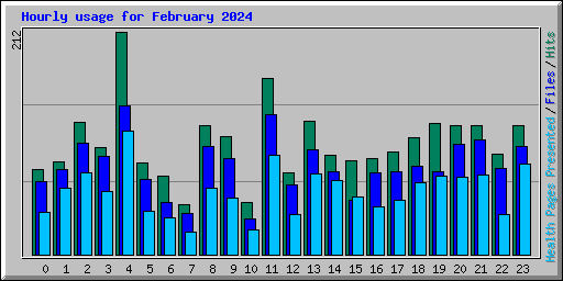 Hourly usage for February 2024