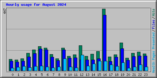 Hourly usage for August 2024